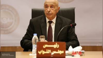 Глава Палаты представителей Ливии намерен вернуть мир в страну