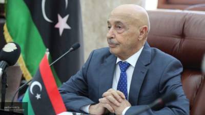 Палата представителей Ливии намерена сформировать единое правительство в стране