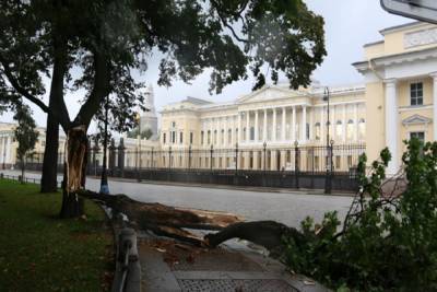 Спасатели выезжали более 400 раз для ликвидации последствий урагана в Петербурге