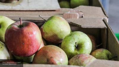 Врач из Китая раскрыл опасность яблок для здоровья