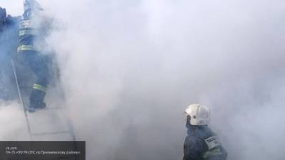 Двое мужчин и трехлетняя девочка погибли в пожарах в Подмосковье