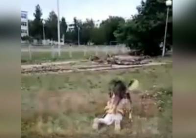 В Башкирии собака напала на детей и повалила девочку на землю