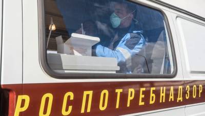 Почти 24 тыс. петербуржцев проверили на коронавирус за сутки