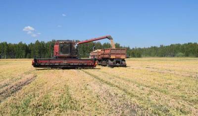В Сладковском районе завершена уборка зерновых