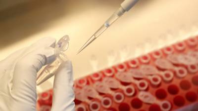 Число проведённых в России тестов на коронавирус превысило 40 млн