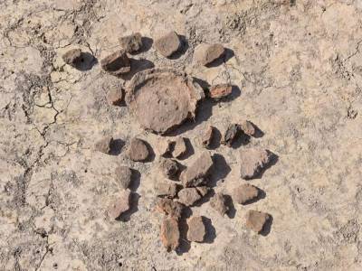 Находкам более 7 тысяч лет: у Трускавца археологи нашли артефакты трипольской культуры