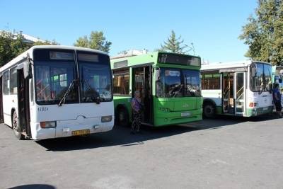 Хотят ли псковичи транспортные карты в автобусах - итоги опроса