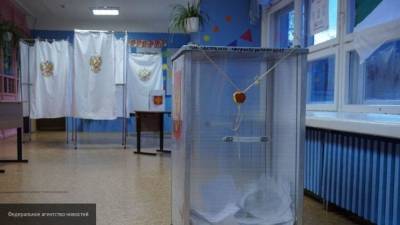 Наблюдатели не выявили существенных нарушений на досрочных выборах в России
