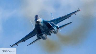 NI нашло у российских Су-27 и Су-30 опасные для НАТО козыри - politros.com - Россия - США