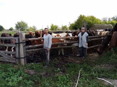 Поддержка от государства. Аграриям Ульяновской области помогут рублем
