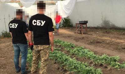 На Донбассе накрыли крупную нарколабораторию – с поличным задержан «защитник» Украины