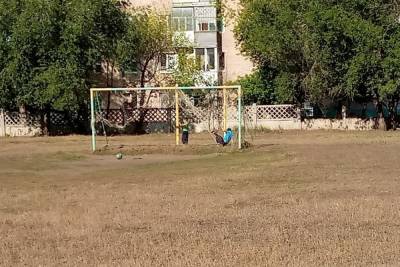 В Оренбурге дети используют футбольную сетку как гамак