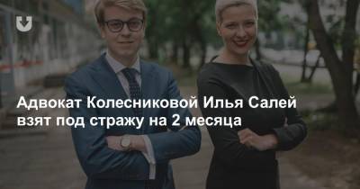 Адвокат Колесниковой Илья Салей взят под стражу на 2 месяца