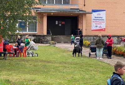 Просто праздник какой-то: в Гончарово рядом с избирательным участком дети ни минуты не скучают