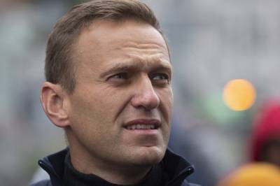 «Должна быть опрошена»: Солонников о пропавшей тайной спутнице Навального