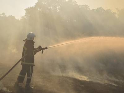 В заповеднике на Николаевщине пожар уничтожил 2 гектара растительности