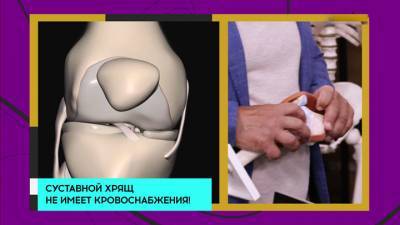 Доктор Мясников рассказал о методах лечения боли в суставах