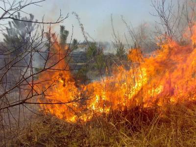 В Ульяновской области прогнозируется высокая пожарная опасность