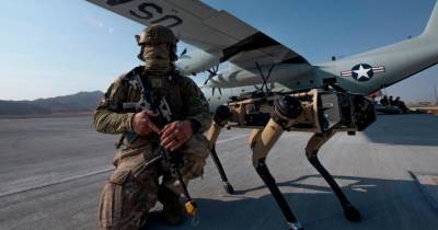 Военные отработали взаимодействие с роботами-собаками