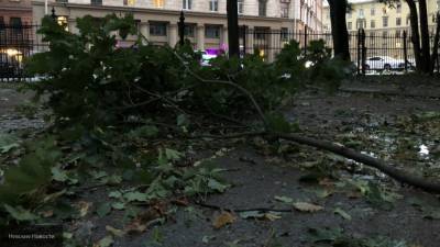 Штормовой ветер ожидается в Петербурге 13 сентября