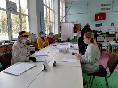 Ульяновские учёные, волонтёры и политики досрочно голосуют на выборах
