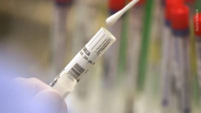 Актуальная статистика по Германии: 1630 новых случаев заражения коронавирусом за сутки