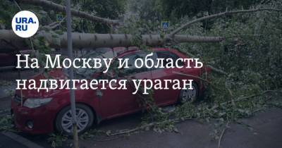 На Москву и область надвигается ураган