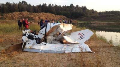 Место падения самолета на северо-востоке Подмосковья сняли на видео