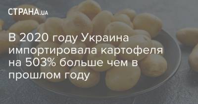 В 2020 году Украина импортировала картофеля на 503% больше чем в прошлом году - strana.ua - Украина