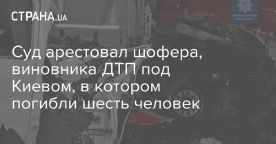 Суд арестовал шофера, виновника ДТП под Киевом, в котором погибли шесть человек