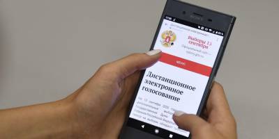 В Москве явка на онлайн-голосовании достигла 93,45%