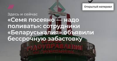 «Семя посеяно — надо поливать»: сотрудники «Беларуськалия» объявили бессрочную забастовку