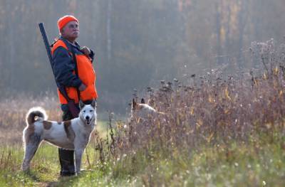 Охотникам в России запретили разрушать жилища диких животных