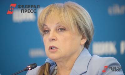 Памфилова оценила ход работы избирательной кампании