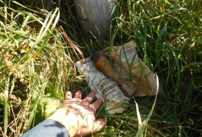 В Шушарах обнаружили три гранаты времен войны