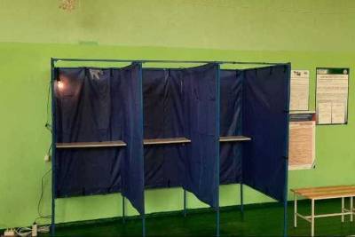 Выборы-2020: как новосибирцам найти избирательный участок
