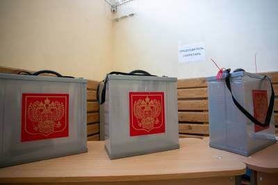 В Челябинской области на выборах досрочно проголосовало 17,81% избирателей