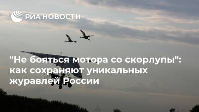 "Не бояться мотора со скорлупы": как сохраняют уникальных журавлей России