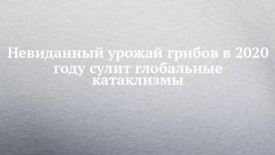 Невиданный урожай грибов в 2020 году сулит глобальные катаклизмы