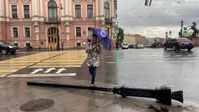 Петербуржцев предупреждают о надвигающемся воскресном шторме "Рената"