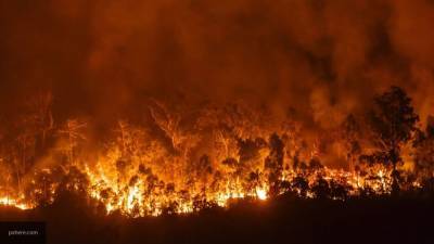 Число жертв лесных пожаров в США продолжает расти