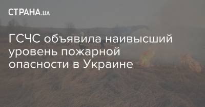 ГСЧС объявила наивысший уровень пожарной опасности в Украине