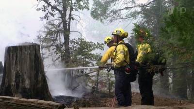 В Калифорнии и Орегоне сложилась критическая ситуация из-за природных пожаров
