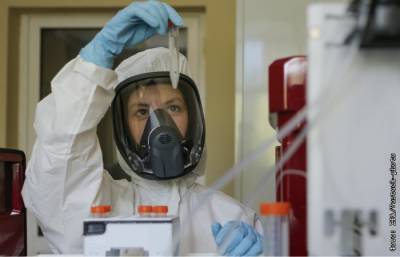 В России коронавирус за сутки выявлен еще у 5 449 человек
