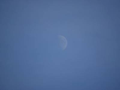 Грядущей ночью уфимцы смогут увидеть на небе рядом с Луной яркую Венеру