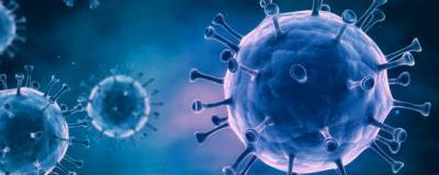 За сутки в России выявили 5 449 случаев коронавируса