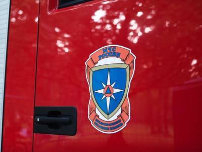 Пожар прервал сон студентов Политеха — из общежития в Петербурге эвакуировали 150 человек