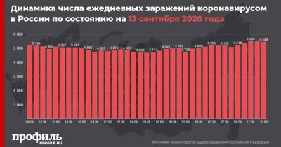 В России выявили 5449 новых случаев заражения коронавирусом