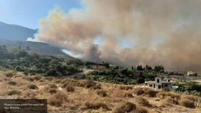 Премьер-министр САР пообещал восстановить пострадавшие от пожара леса Хамы