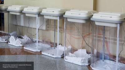 Политолог обвинил "Карту нарушений" в попытках извратить голосование